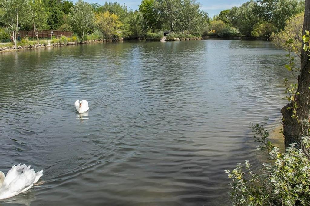 Appartamento La Provencale Saint-Saturnin-lès-Avignon Esterno foto